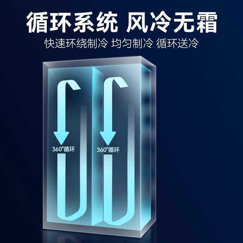 啤酒饮料展示柜网红酒水冰柜立式冷藏柜商用双开门酒吧冰箱冰柜