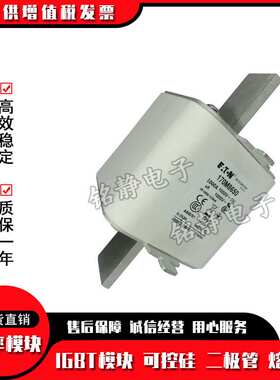 170M8550 170M8554 170M8555 170M8556巴斯曼熔断器现货170M8557