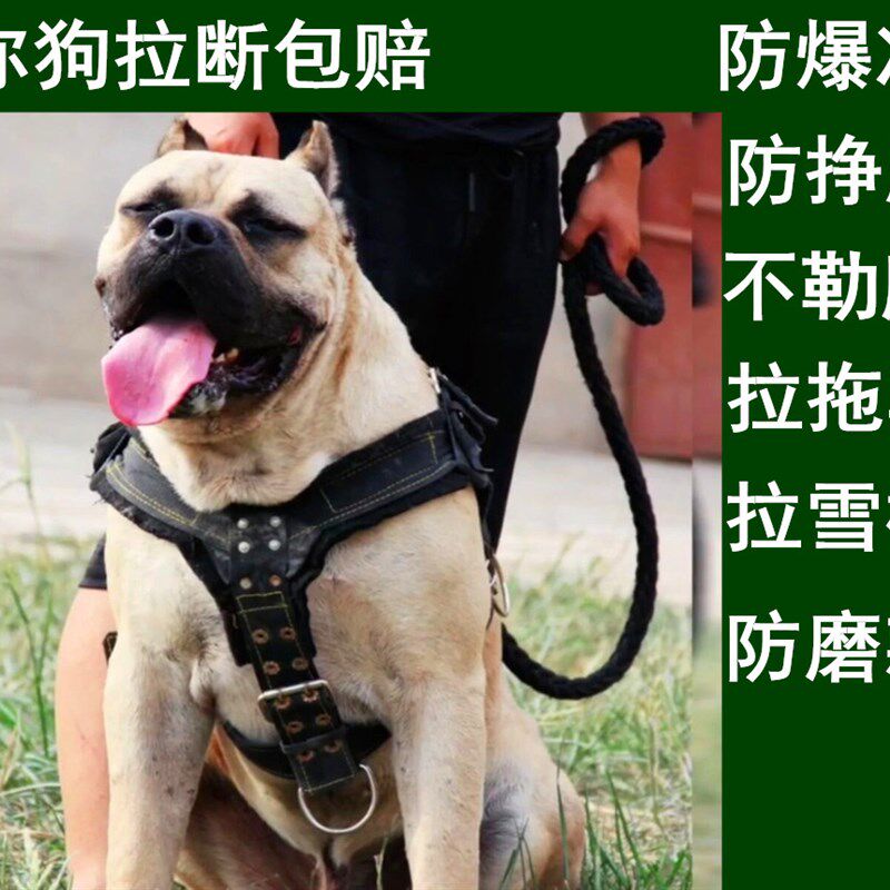 狗胸背带大型犬 猛犬比特训练狗套装胸背宠物背T心式胸背带狗胸背