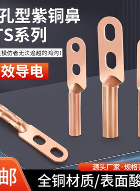 双孔铜鼻子双d洞线鼻子双口铜接头线耳接线端子DTS16/25/35/70/24