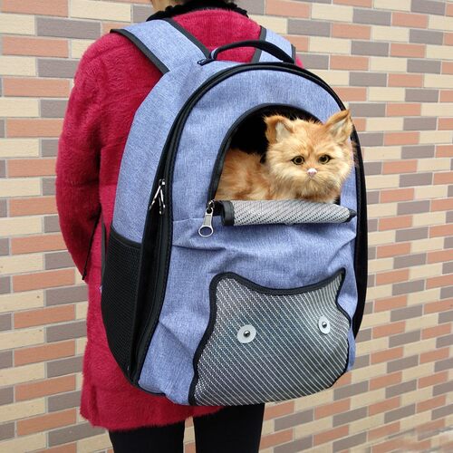 猫咪背包透气隐型宠物包猫咪狗外出双肩背包溜猫外出背包猫狗背包