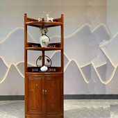 红木家具转角柜三角柜花梨木色菠萝格实木墙角书柜酒柜陈列展示柜