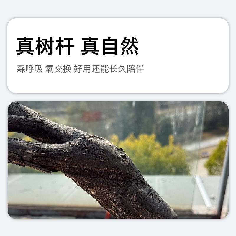观散尾葵20岛春花绿植室内高端简海约仿装饰大型新中式景树软装造