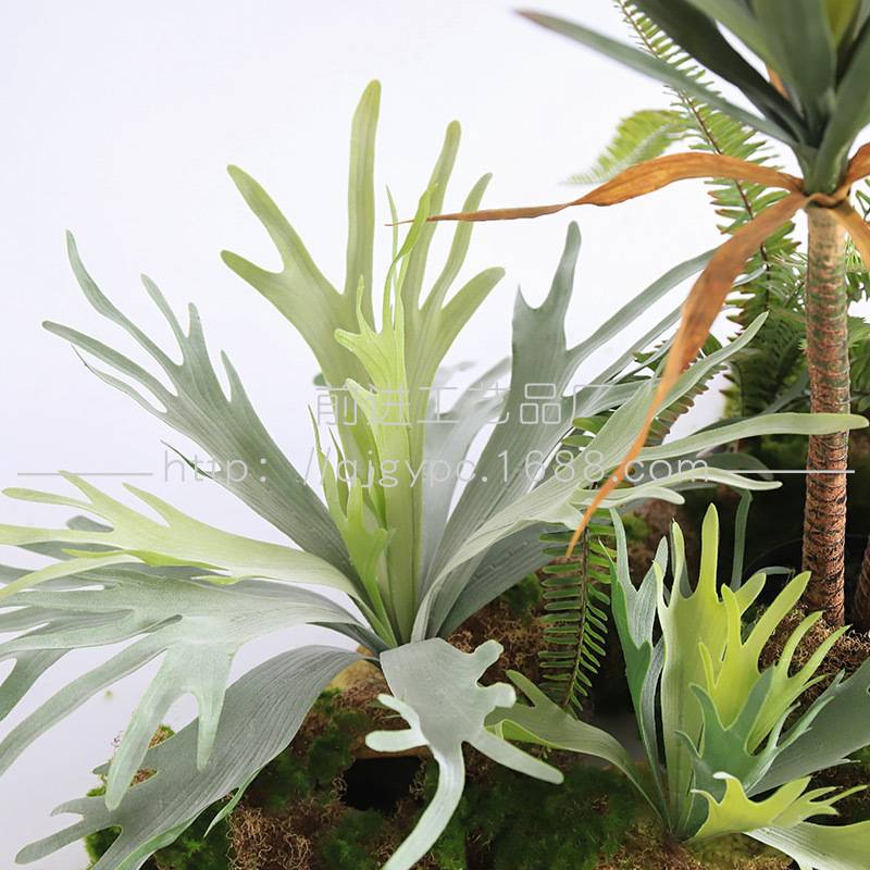 热带仿真绿植景观沙生植物套装办公室展厅绿植软装仿真花客厅盆栽