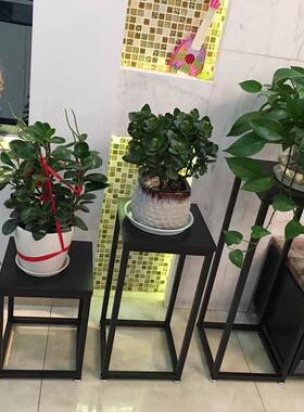 新品源头花落架客厅用简约现代置物绿萝盆0720架栽室家内装饰摆件