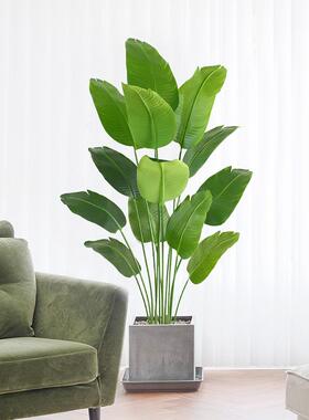 植盆栽假树假厅树室内装物饰dpfc树落客地花假花大型绿植