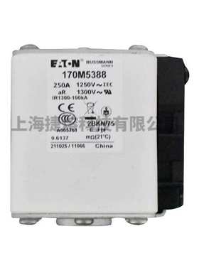 170M5388  170M5398 快速熔断器  保险丝 电子元器件 量大价优