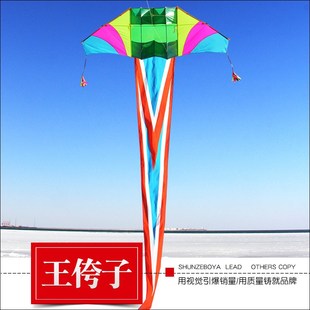 2025王侉子3米4米滑翔机新y品潍坊544软伞布碳杆微风大型成人风筝