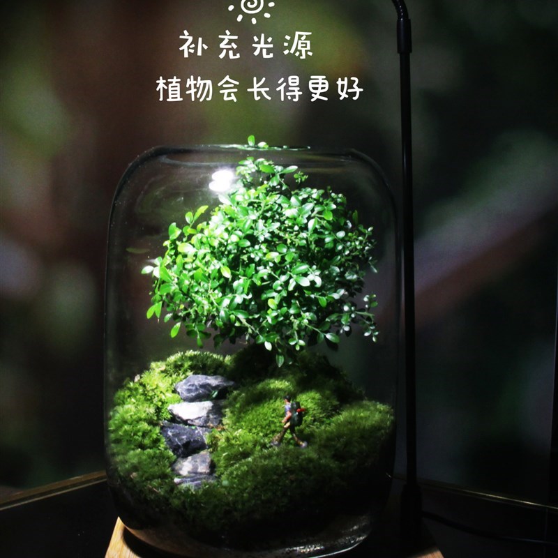 办公室桌面生态瓶自循环微景观免打理微生态玻璃W微观鱼缸空g