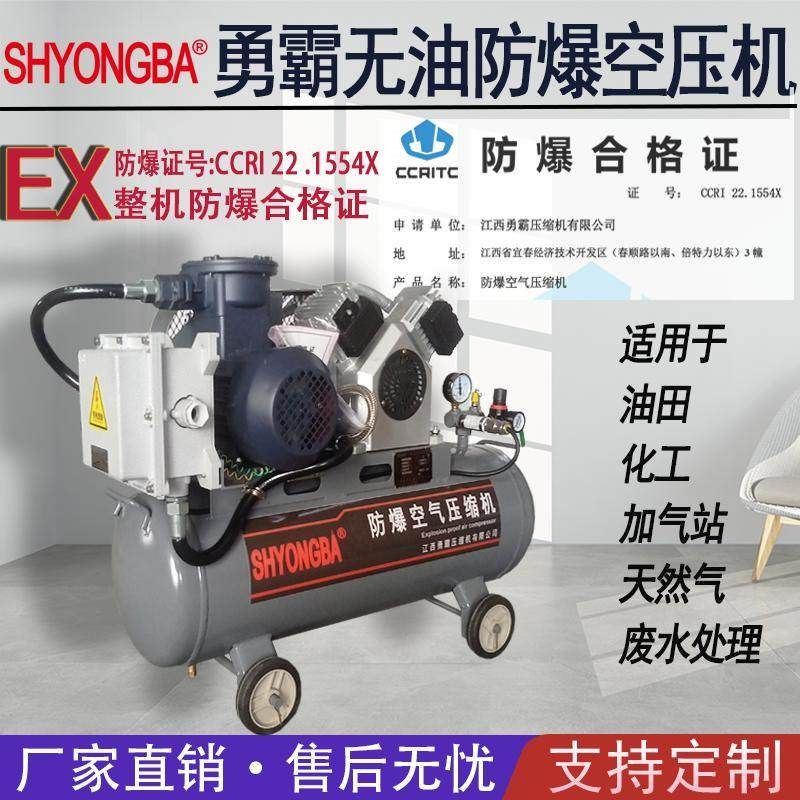工业级防爆空压机气泵全无油小型38F0V防爆打气泵化工空气压缩机