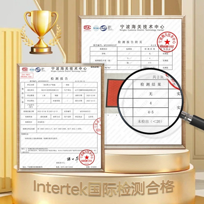 入户地垫进门脚垫2024新款别墅家用门前防滑垫子玄关门垫耐脏地毯