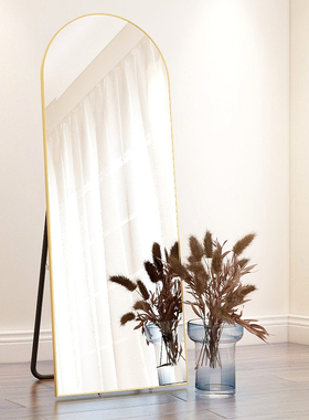 全身镜ians风网红穿衣镜卧室贴墙壁挂家用落地镜服装店用试衣镜子