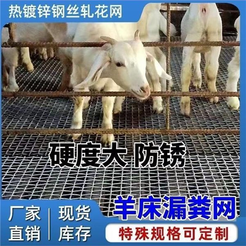 羊床漏粪网养g羊鸡鸭鹅漏粪网底养殖围栏网热镀锌编织羊床钢丝网