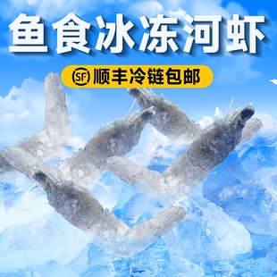 新鲜去枪去刺去尾虾河虾冷冻冷冻虾喂鱼喂鱼冻虾冰冻龙鱼专用鱼食