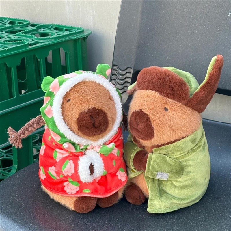 压床娃娃一对结婚新款高档公仔玩偶水豚毛绒安抚陪睡觉抱可爱抱枕