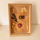 标本类立体装 饰画中空防尘松果植物干花干果森系相框墙面桌面长方