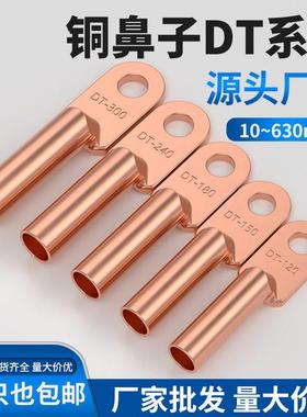 DT铜接线线端子国标电缆铜接头镀锡铜线线鼻至平方铜线线耳铜接线
