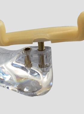 提透明水琴晶档肩托高0小LVI32