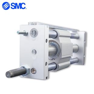 CY1S25CY1S153G25-450Z500Z50Z600Z655Z7/000Z无杆气缸