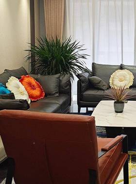 1VPR欧式真枕新古抱典沙发靠床品装饰垫圆F756SMS8枕仿丝午睡南瓜