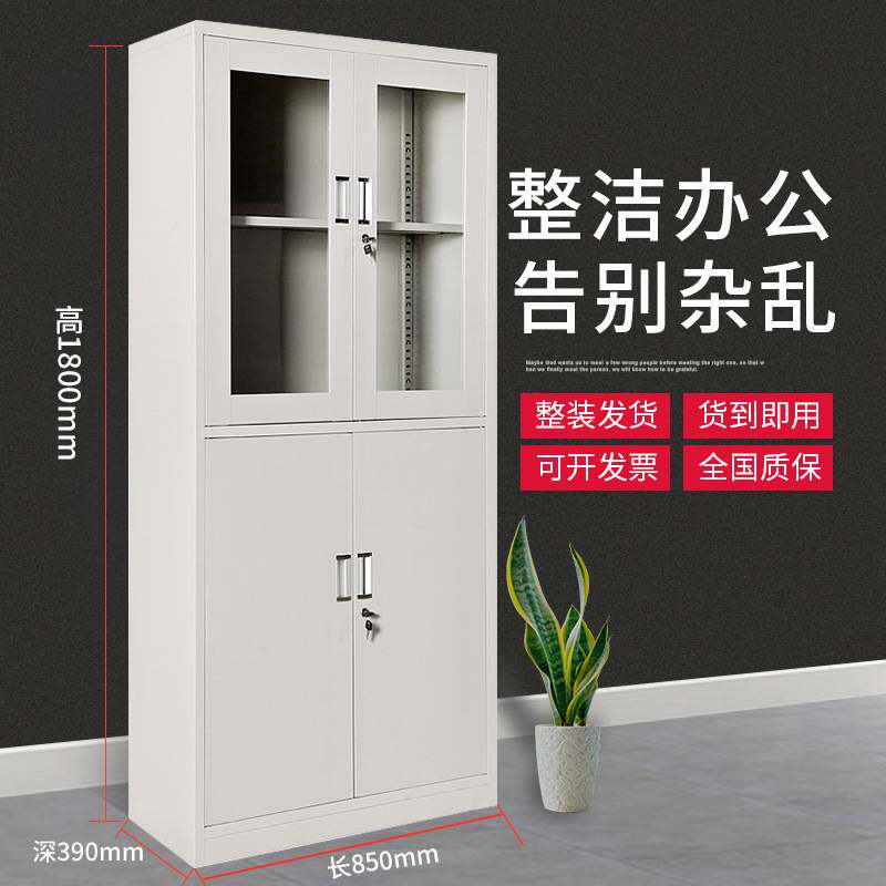 广西南宁铁皮柜钢制文件柜凭证柜书柜档案柜资料柜玻璃柜公文柜