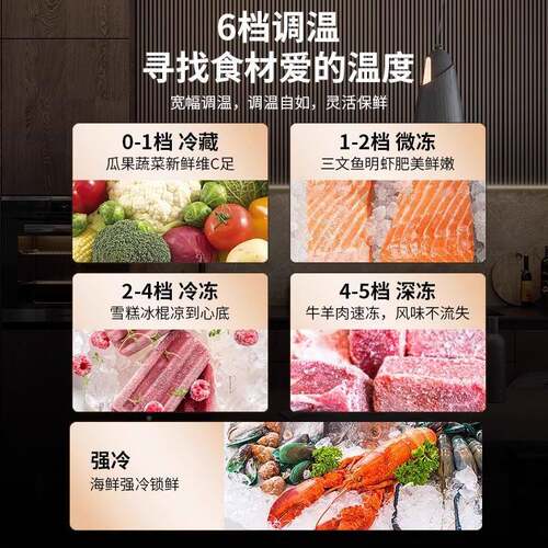 冰柜661一用级冷能效商用冻柜家用冷藏式冷冻两卧双温冷柜