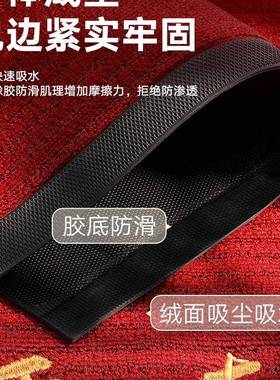 地垫入户门地2025新款耐脏免洗门F9759TJM口脚垫红色进毯垫日居家