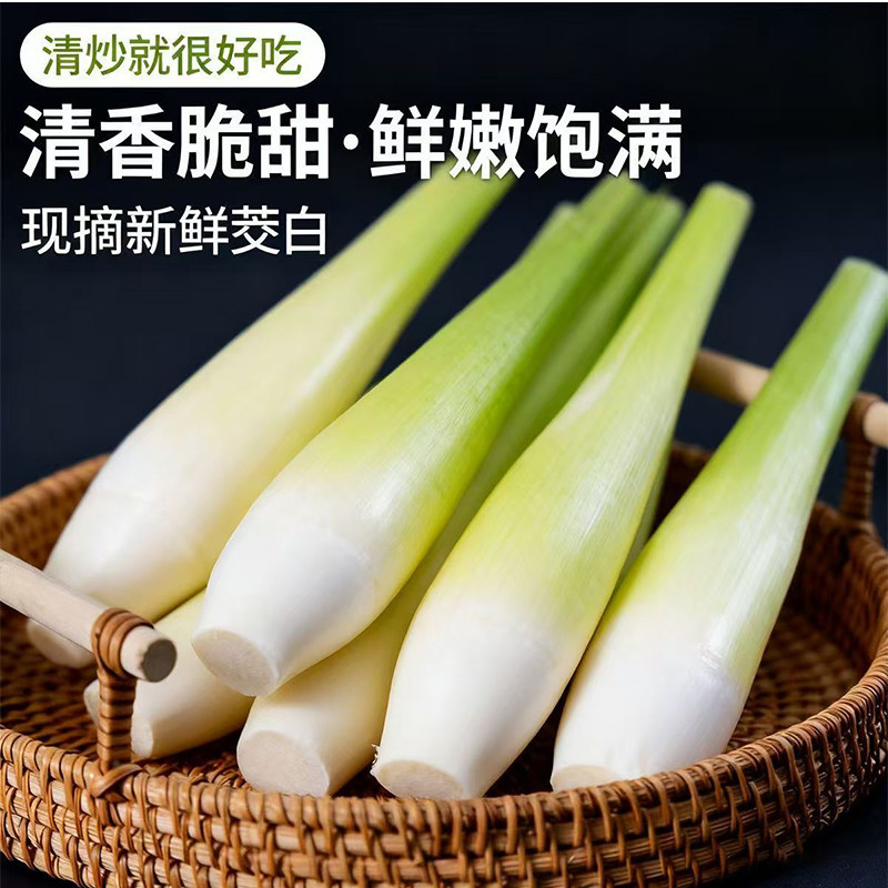 新鲜茭白笋5斤当季现摘高瓜高山笋蒲笋水茭瓜茭笋茭儿菜时令蔬菜