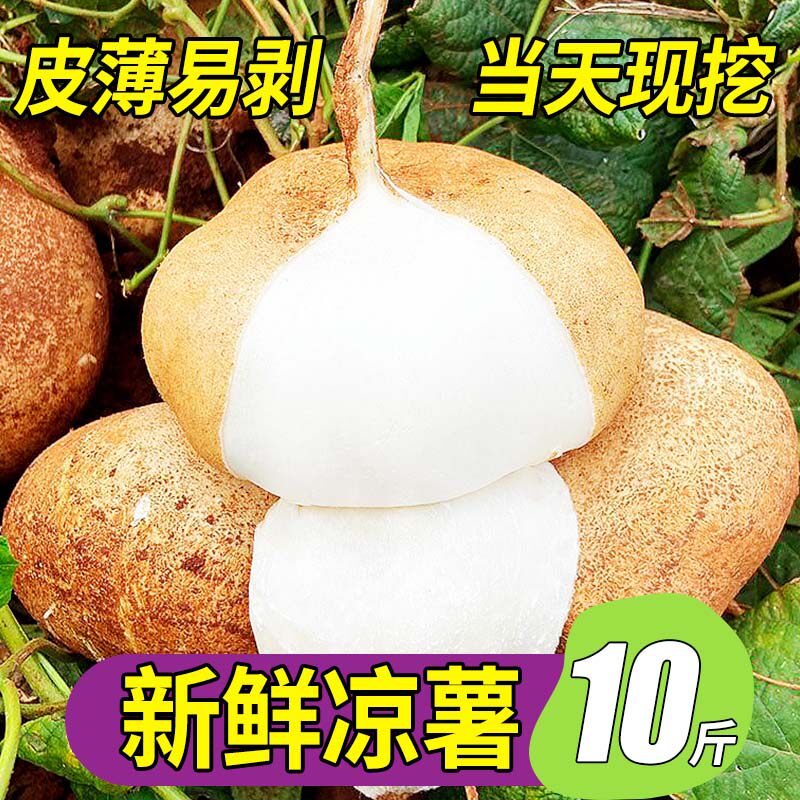 正宗广西新鲜现挖凉薯10斤当季土地瓜豆薯农家自种红薯白地瓜番薯
