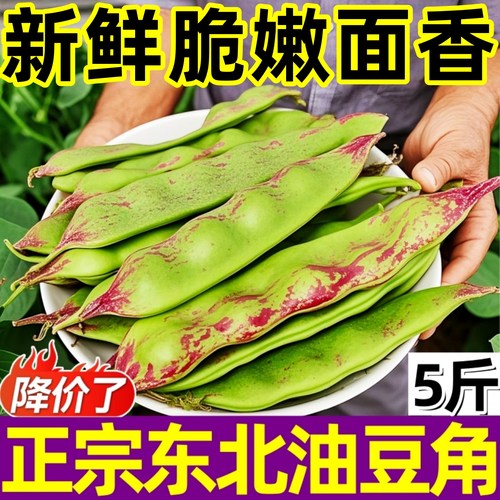 正宗新鲜东北油豆角鲜嫩脆爽面香