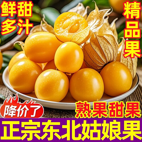当季新鲜东北姑娘果5斤大果