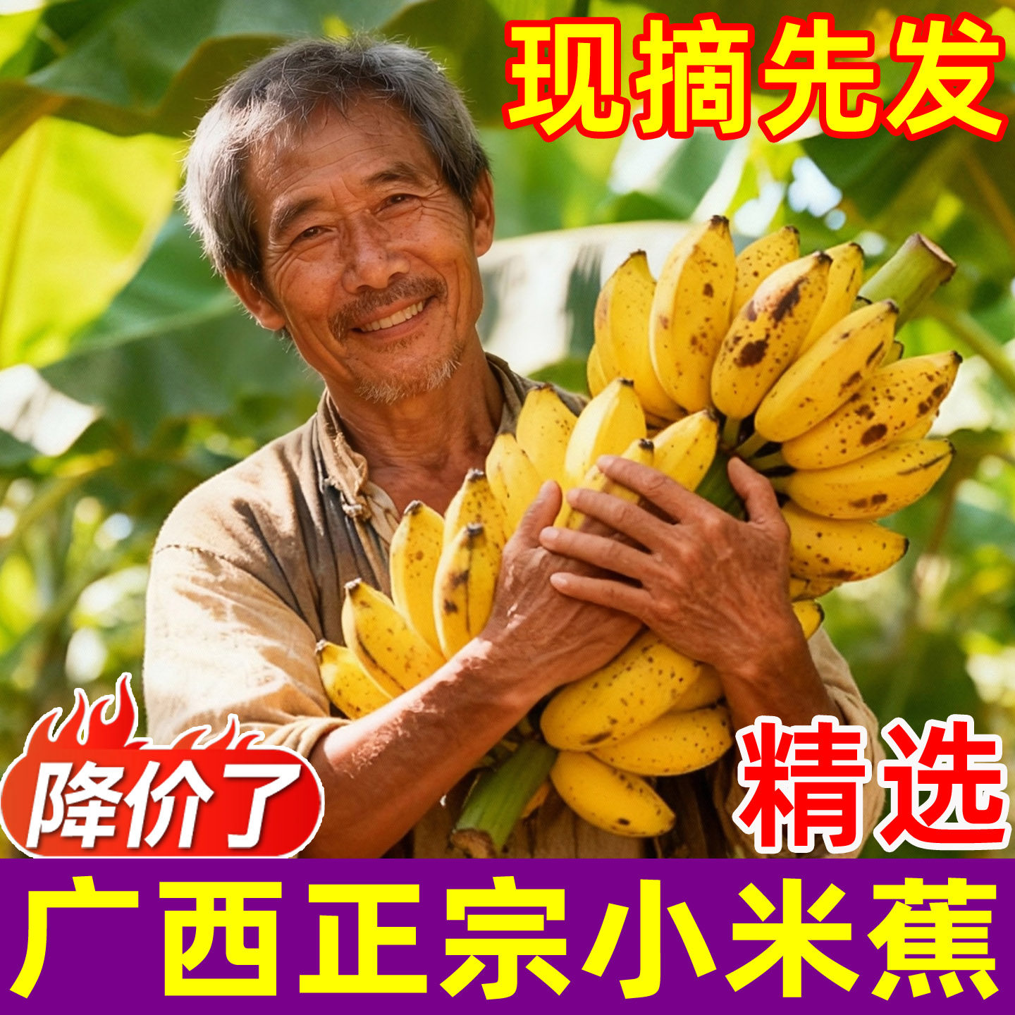 广西小米蕉新鲜香甜香蕉现摘热带水果小香蕉粉蕉苹果蕉芭蕉熟整箱