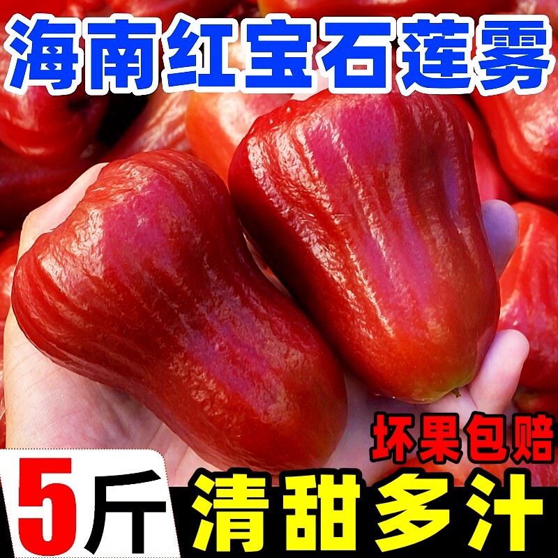 海南红宝石莲雾5斤脆甜多汁莲雾果黑金刚热带水果新鲜当季整箱