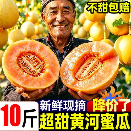 民勤黄河蜜瓜10斤当季新鲜