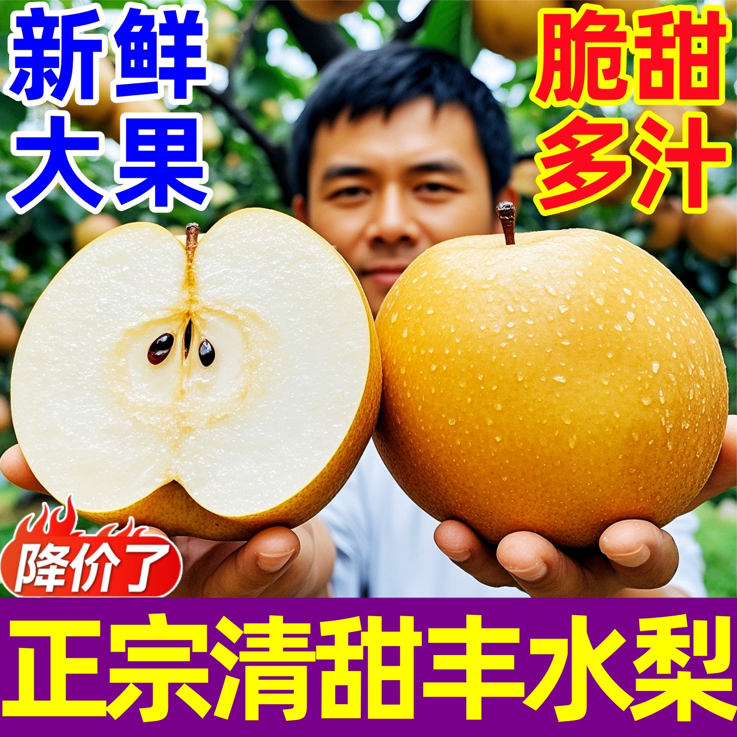 正宗新鲜丰水梨脆甜多汁清甜爽口