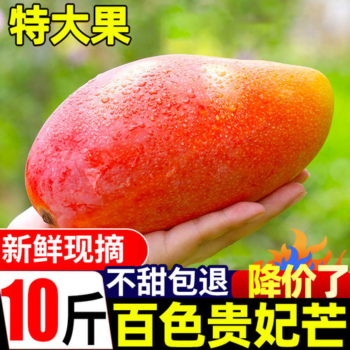 广西当季新鲜树熟贵妃芒整箱