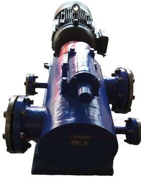 泵 沥青螺杆泵 保温泵  rcb泵 鲁转子泵Galileo Galilei/伽利略铸