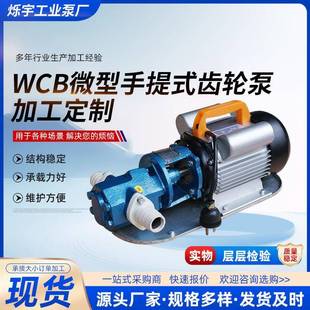 WCB30小型铸铁电动齿轮泵便携式 手提抽油泵微型齿轮油泵