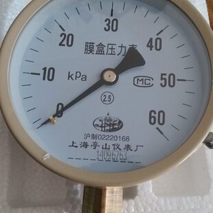 膜盒压力表 M20*1.5 磨合表 膜盒 压力表 径向 YE100 YE150