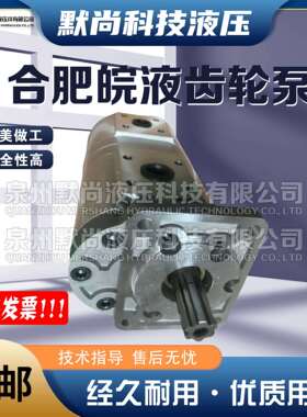 合肥赛源齿轮泵CBNL-F563/F520 F563/F510 F550/F520-BF液压油泵