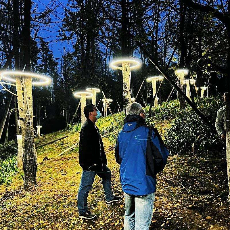 led户外抱树发光圆圈挂树城市街道防水树木节日亮化光环造型灯