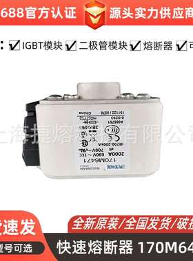 170M6471  170M6498  快速熔断器  保险丝 电子元器件 量大价优