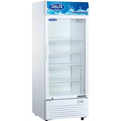 星星单玻门展示柜LG-300冷藏柜保鲜柜留样柜Glass display cabine