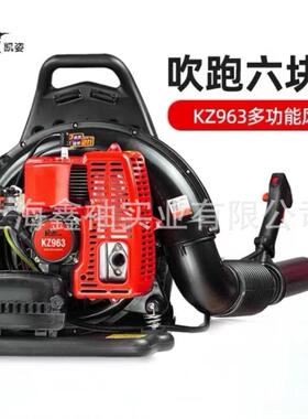 凯姿（KAZZ）KZ963背负式二冲程汽油大功率大棚吹雪机风力灭火机