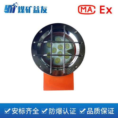 DGY12/110L(A)矿用隔爆型LED机车灯掘进机大灯矿用防爆车照明灯