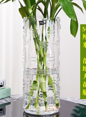 落地花瓶高款插花长枝富贵竹观音竹专用长筒水养花装饰器皿玻璃瓶