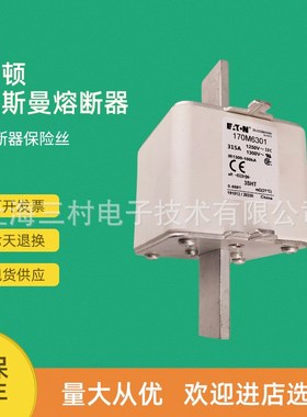 全新原装快速熔断器保险丝170M6308 170M6309 170M6310 170M6311