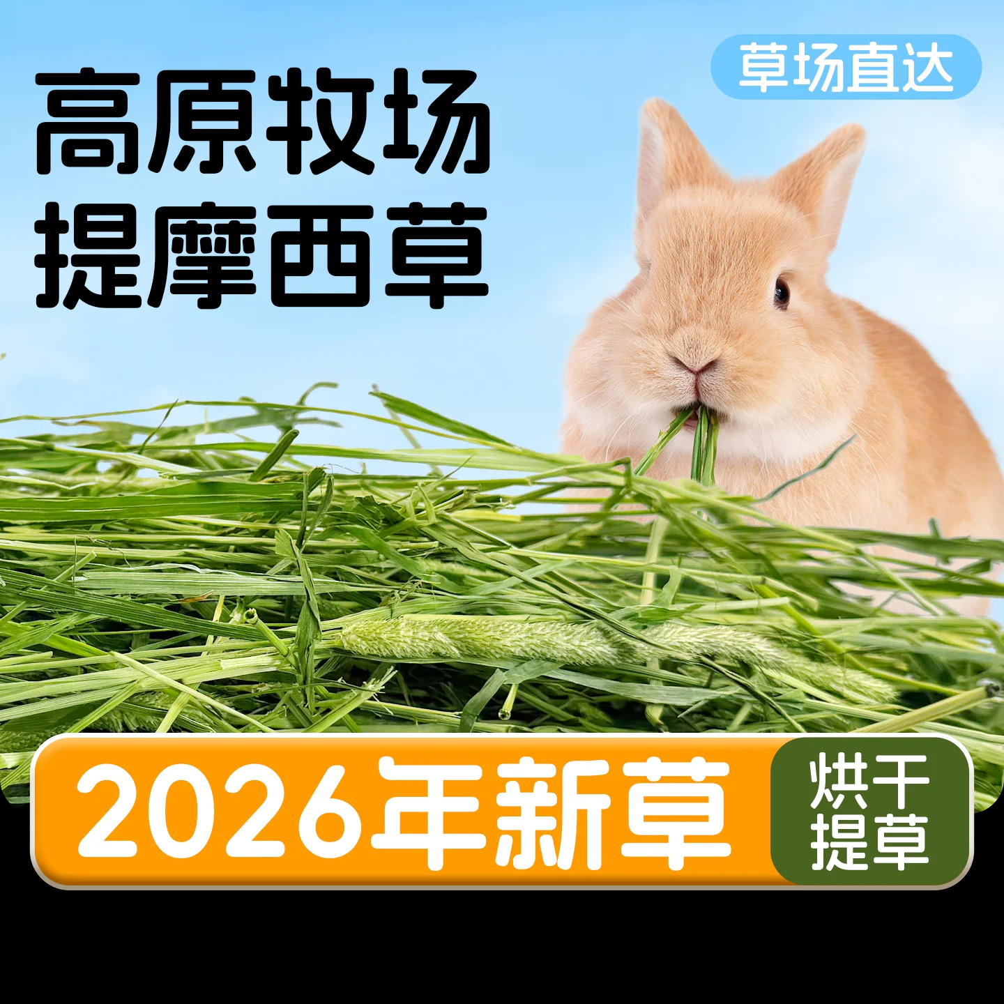 26年岷县烘干提摩西草兔草荷兰猪豚鼠兔粮烘干草饲料兔兔窝