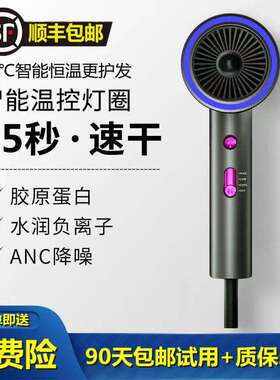电吹风机家用吹头发大功率负离子护发大风力发廊专用吹风筒静音飞