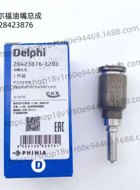 德尔福原厂28423876 L499PBK油嘴套件配BEBJ1F08001/BEBE1R14001